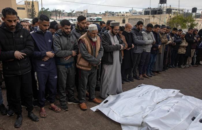 دراسة:
      عدد
      قتلى
      غزة
      في
      بداية
      الحرب
      أعلى
      بكثير
      من
      المعلن
      رسمياً