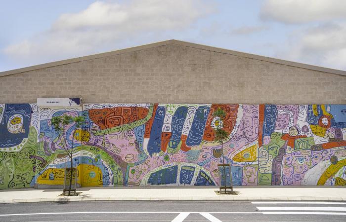 حادث
      اعتداء
      على
      فرد
      أمن
      يؤلب
      «مواجع
      طبقية»
      في
      مصر