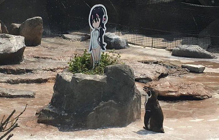 مسلسل
      «صحاب
      الأرض»
      الرمضاني
      يثير
      غضباً
      في
      إسرائيل