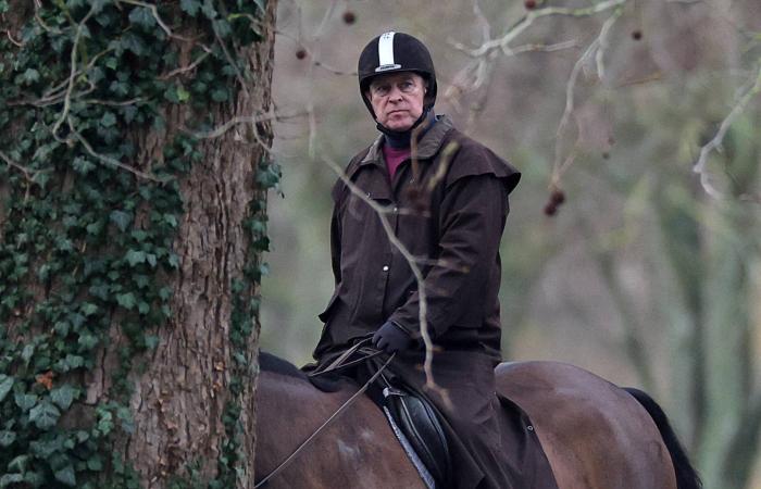 تقرير:
      قصر
      باكنغهام
      يمنع
      تحميل
      دافعي
      الضرائب
      تكاليف
      دفاع
      الأمير
      السابق
      أندرو