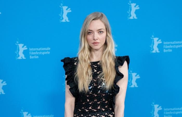 شعر منفوش.. أماندا سيفريد تظهر بشكل "غريب" في برلين