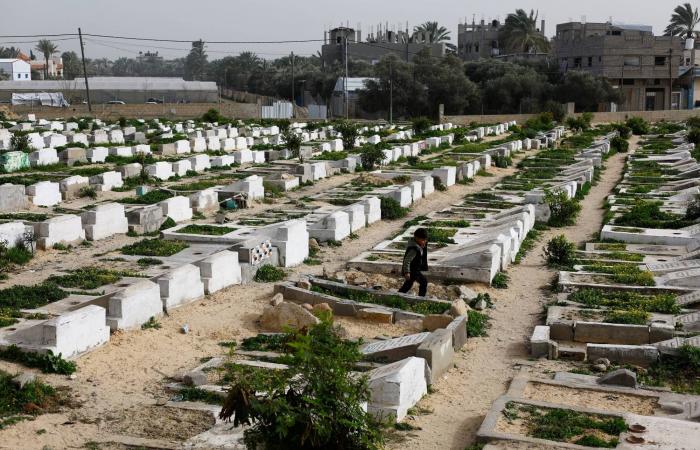 مستوطنون
      إسرائيليون
      يقتلون
      شاباً
      فلسطينياً
      أميركياً