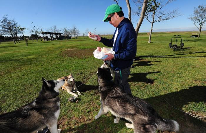 أطعمة الكلاب تحتوي على مستويات خطرة من المعادن الثقيلة