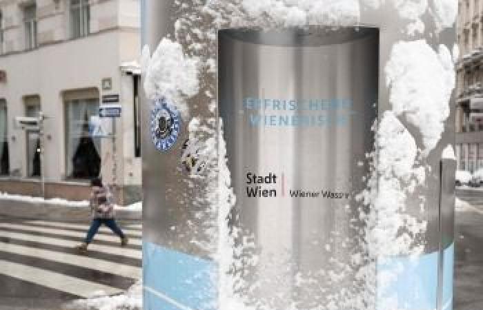 مقتل خمسة أشخاص في عاصفة ثلجية ضربت النمسا