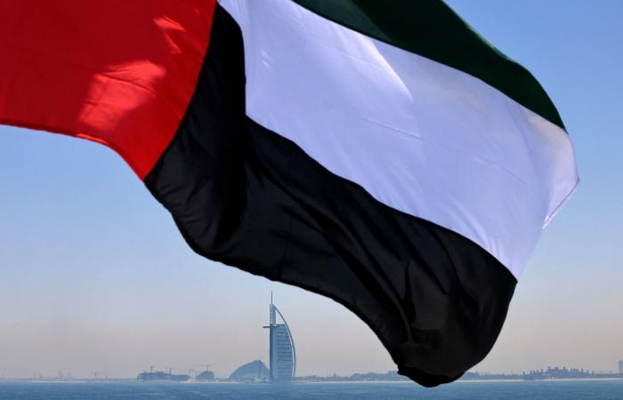 الإمارات: إحباط هجمات سيبرانية "ذات طابع إرهابي"