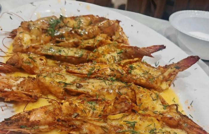 «البصلي»...
      طعم
      البحر
      الذي
      عبر
      الأجيال