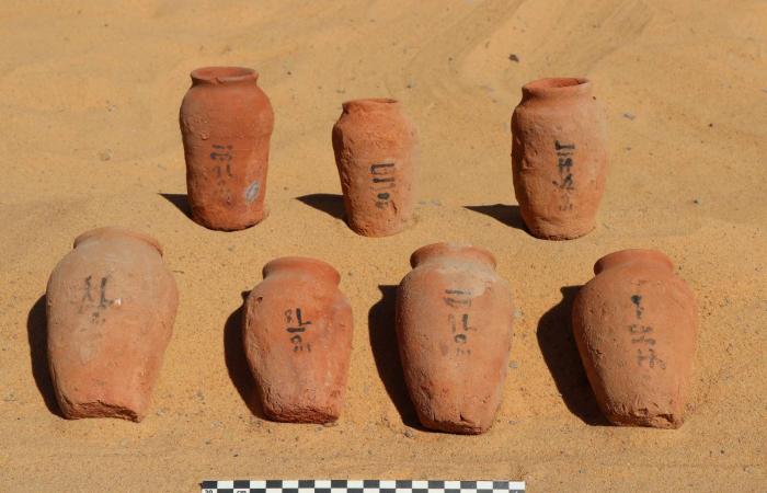 مصر:
      اكتشاف
      مقابر
      صخرية
      في
      أسوان
      تعود
      إلى
      الدولة
      القديمة