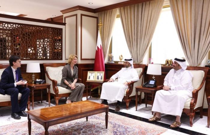 وزير البلدية يجتمع مع وزير الزراعة في روسيا الاتحادية