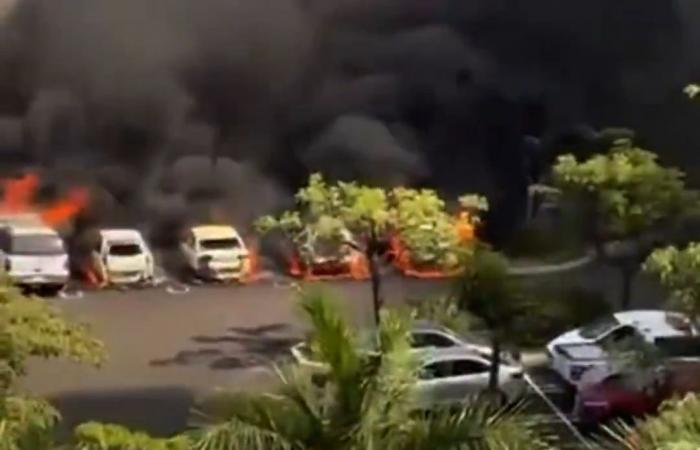 بالفيديو| حرب شوارع بعد مقتل "إل مينشو" وعصابته تستولي على مطار في المكسيك 