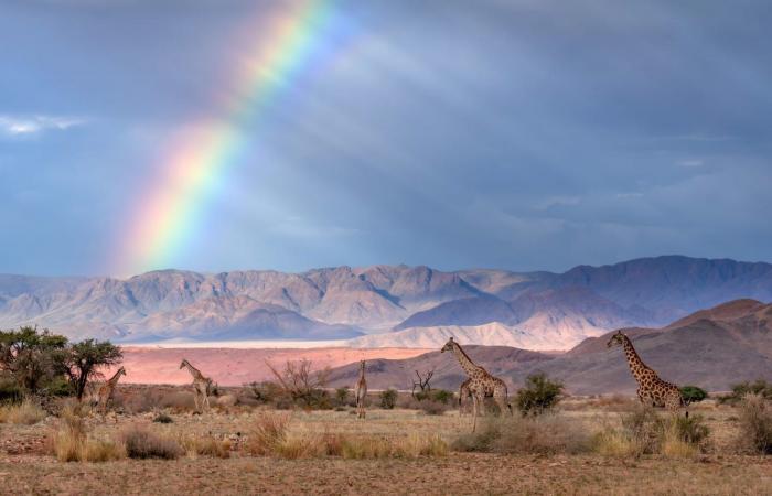 لن تصدق أنها حقيقية.. صور مذهلة تكشف جمال طبيعة جنوب إفريقيا
