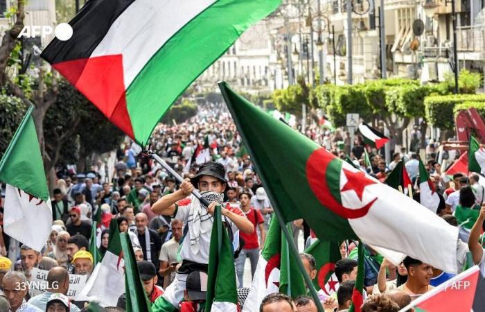 «الحراك
      الجزائري»
      بعد
      7
      سنوات:
      بين
      مطالب
      الحرية
      واستمرار
      السيطرة
      السياسية
