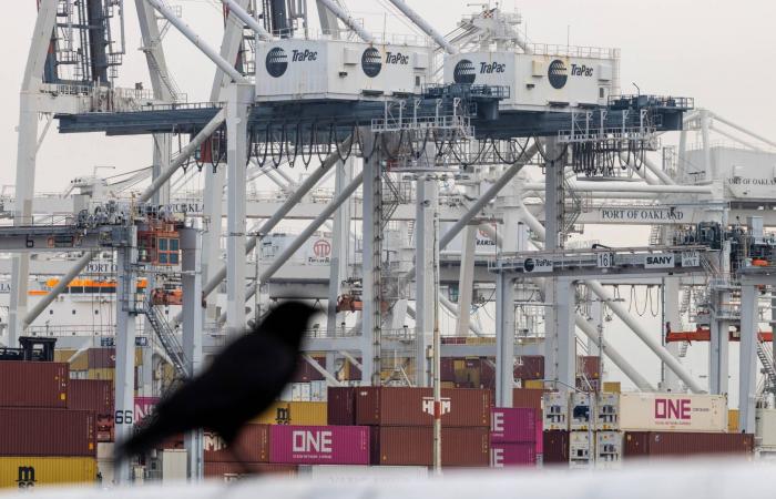 مصر:
      بئر
      جديدة
      تبدأ
      إنتاج
      الزيت
      الخام
      في
      منطقة
      سيناء