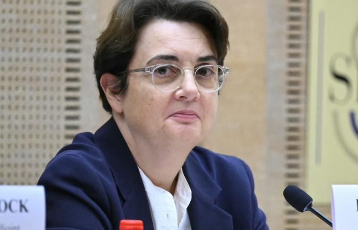 استقالة مديرة متحف اللوفر على خلفية حادثة سرقة جواهر التاج البريطاني