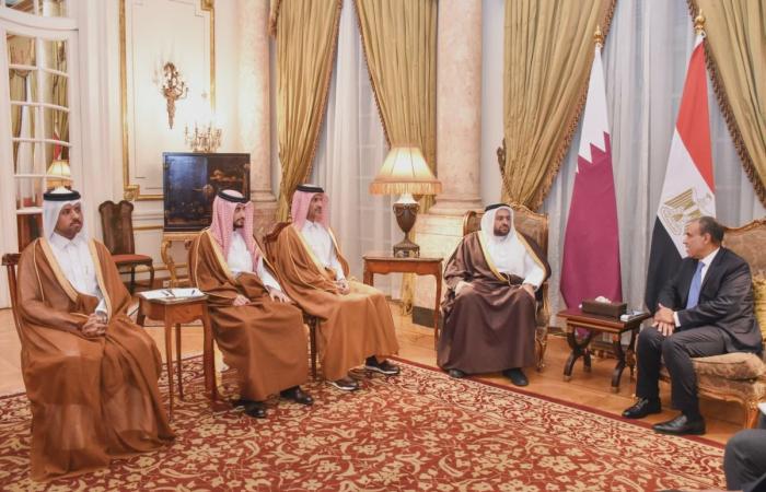 وزير الدولة بوزارة الخارجية يجتمع مع وزير الخارجية المصري