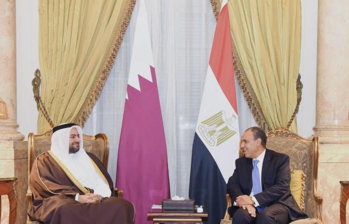 وزير الدولة بوزارة الخارجية يجتمع مع وزير الخارجية المصري