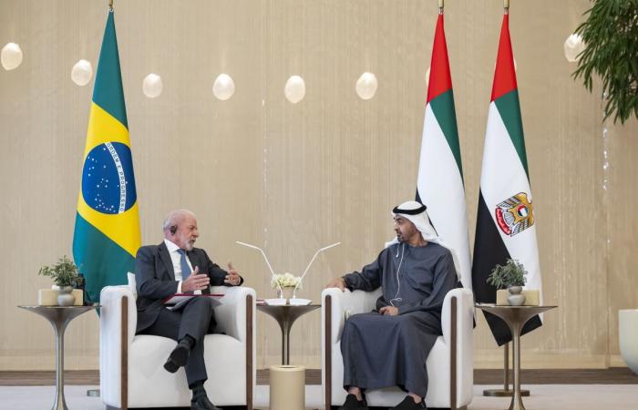 الرئيسان الإماراتي والبرازيلي يبحثان التطورات الإقليمية والدولية