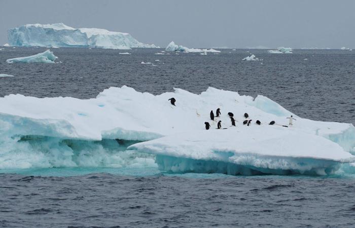 حيث
      لا
      يذوب
      الجليد:
      ما
      أكثر
      دول
      العالم
      برودة؟