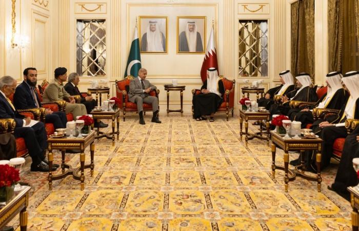 رئيس مجلس الوزراء وزير الخارجية يستقبل رئيس وزراء باكستان