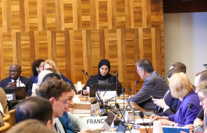 قطر تشارك في حدث جانبي حول تعزيز الحقوق الاجتماعية والاستقرار الديمقراطي