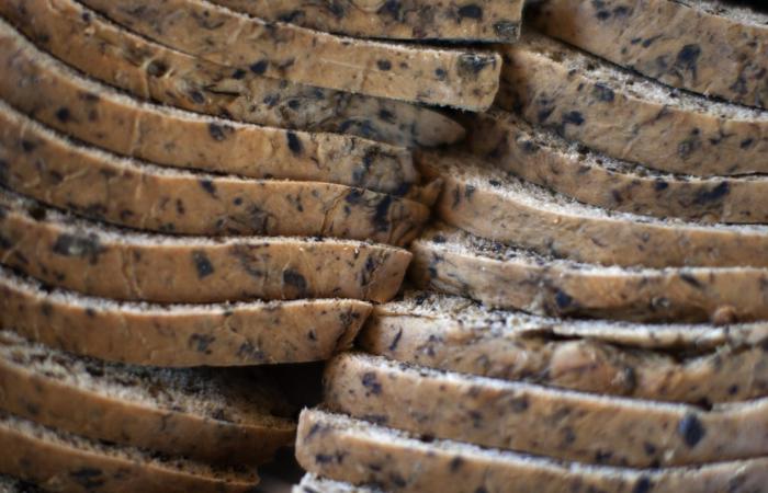 حبوب الشيا في رمضان.. كيف تساعدك على مكافحة العطش؟