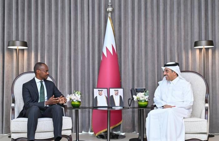 د. المري يجتمع مع السفير الرواندي