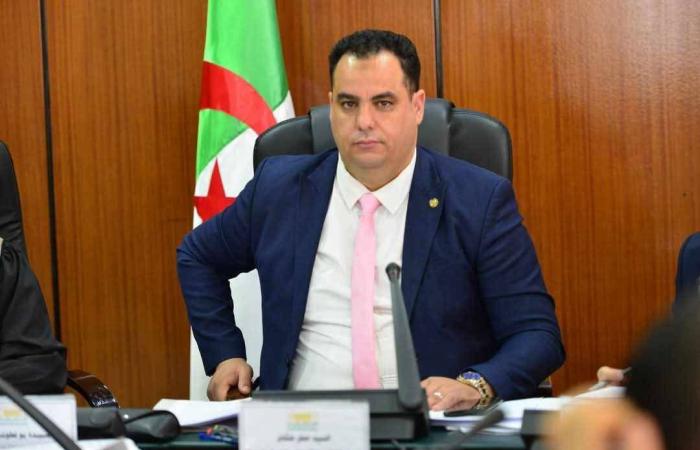 الجزائر
      تبدأ
      تطبيق
      إجراءات
      نزع
      الجنسية
      من
      المعارضين
      المتهمين
      بـ«الخيانة»