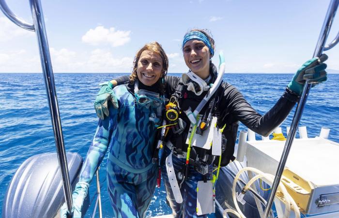 أم وابنتها تكتشفان أكبر مستعمرة مرجانية في العالم قبالة ساحل أستراليا