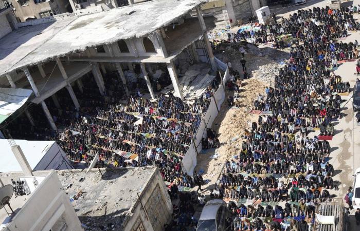 الأميركيون
      يتعاطفون
      أكثر
      مع
      الفلسطينيين
      من
      الإسرائيليين