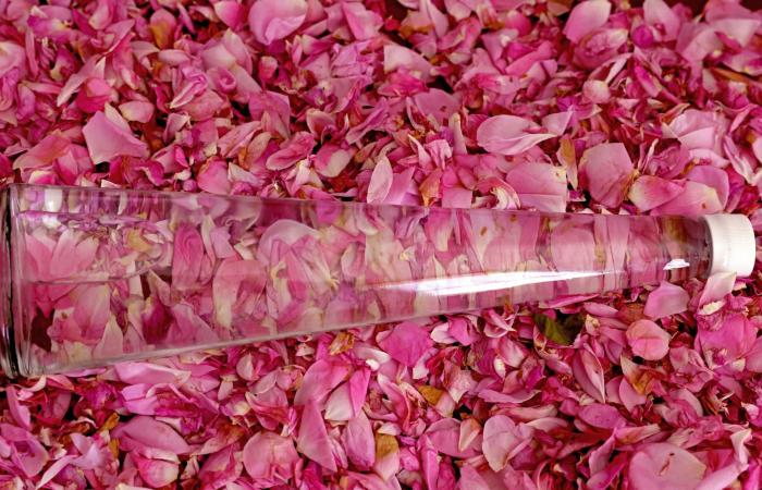 الصيام وتحدي الجمال.. دليل العناية بالبشرة والشعر في رمضان