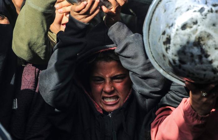 الأميركيون
      يتعاطفون
      أكثر
      مع
      الفلسطينيين
      من
      الإسرائيليين