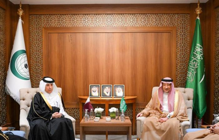 المريخي يجتمع مع نائب وزير الخارجية السعودي