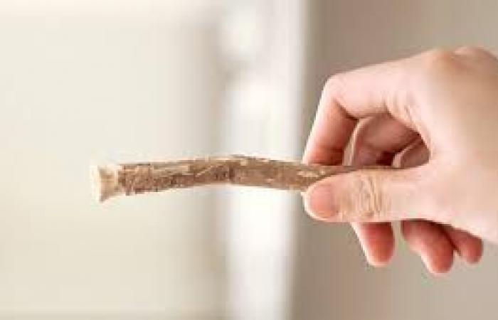 أسئلة رمضانية.. ما حكم استخدام معجون الأسنان أو السواك للصائم؟