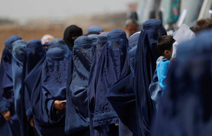 الأمم
      المتحدة:
      العنف
      ضد
      النساء
      يمثل
      حالة
      طوارئ
      عالمية