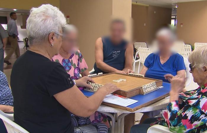 هل أجاب العلماء على سؤال: كيف تُبقى ذهنك متيقظًا في سن الشيخوخة؟