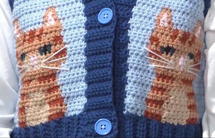 أهلاً بك في أول عرض أزياء "مستوحى من القطط".. لن تصدق غرابة بعض التصاميم