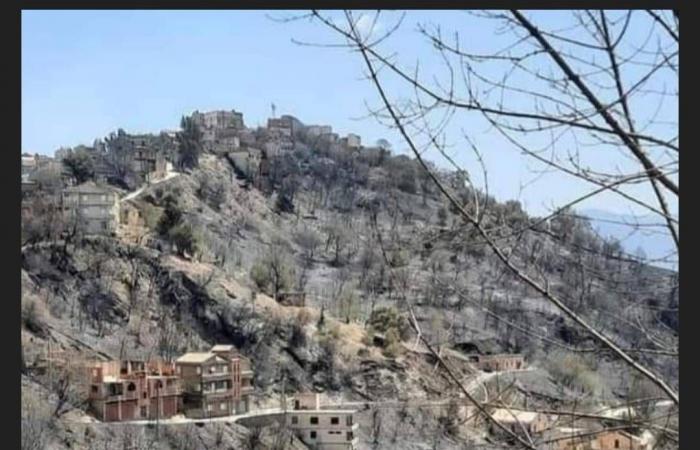 الجزائر:
      «مأساة
      حرائق
      القبائل»
      أمام
      القضاء
      مجدداً...
      وتطلعات
      إلى
      «محاكمة
      عادلة»