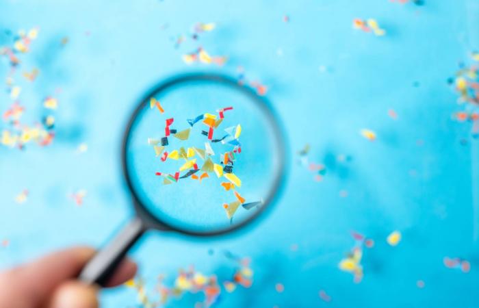 ما
      هي
      محاذير
      ومخاطر
      الجسيمات
      الميكروبلاستيكية
      في
      فرشاة
      الأسنان؟