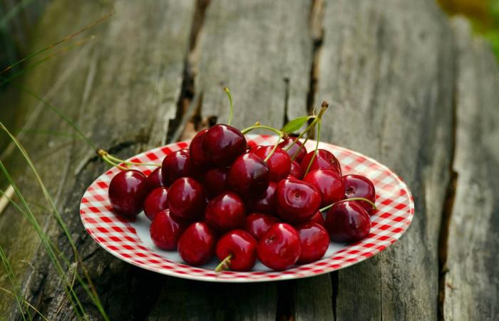 من
      المشمش
      للتمر...
      لماذا
      يجب
      أن
      تضيف
      الفواكه
      ذات
      النواة
      إلى
      نظامك
      الغذائي؟