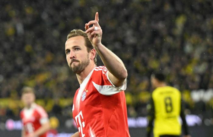 توتنهام
      «متخوّف»
      من
      التحكيم
      الإنجليزي