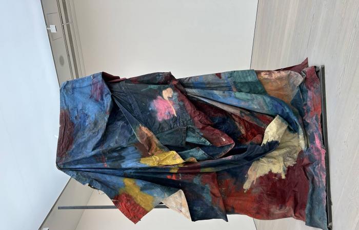 سلطة
      الفن
      العابرة
      للحدود