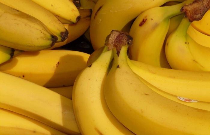 بدلاً
      عن
      مكملات...
      أطعمة
      تساعد
      على
      النوم