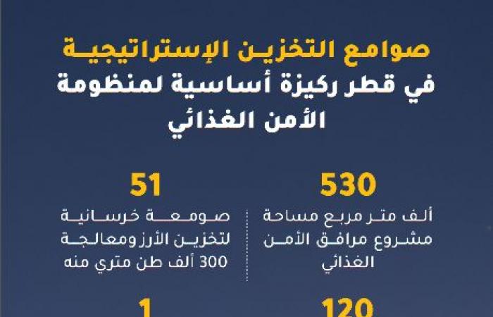 فائض المخزون الإستراتيجي للسلع الاستهلاكية يكفي لأشهر