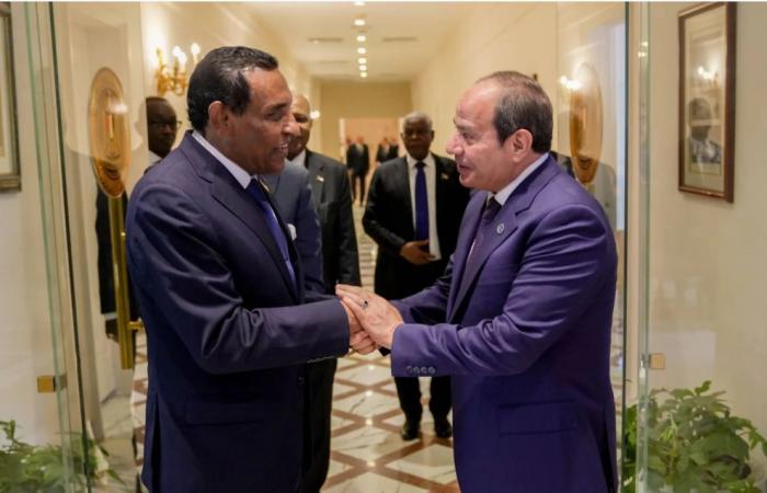 مصر
      تبحث
      آليات
      دعم
      إعادة
      إعمار
      السودان