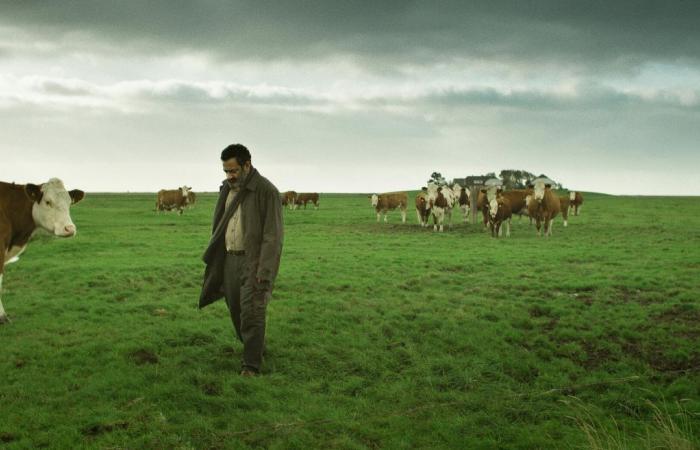 كنوز
      قرآنية
      من
      العصور
      الأولى
      تستعرض
      تاريخ
      تدوين
      المصحف
      الشريف