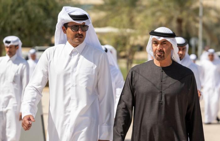 محمد بن زايد وتميم بن حمد يؤكدان ضرورة وقف التصعيد العسكري