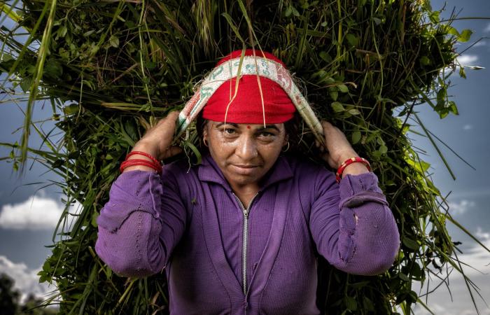 "هن الحكاية".. صور مؤثرة تجسّد الأدوار المحورية للنساء من حول العالم