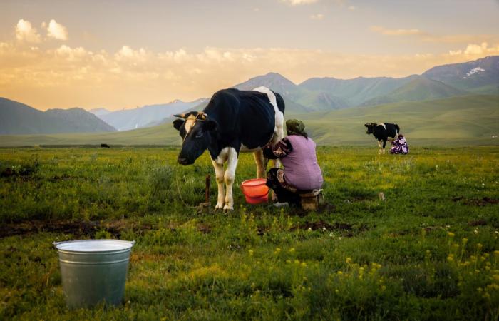 "هن الحكاية".. صور مؤثرة تجسّد الأدوار المحورية للنساء من حول العالم