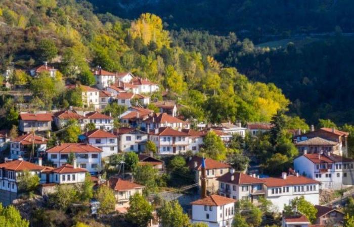 سحر
      الشتاء
      يتلألأ
      على
      ساحل
      البحر
      الأسود
      التركي…
      وجهة
      عالمية
      لعام
      2026