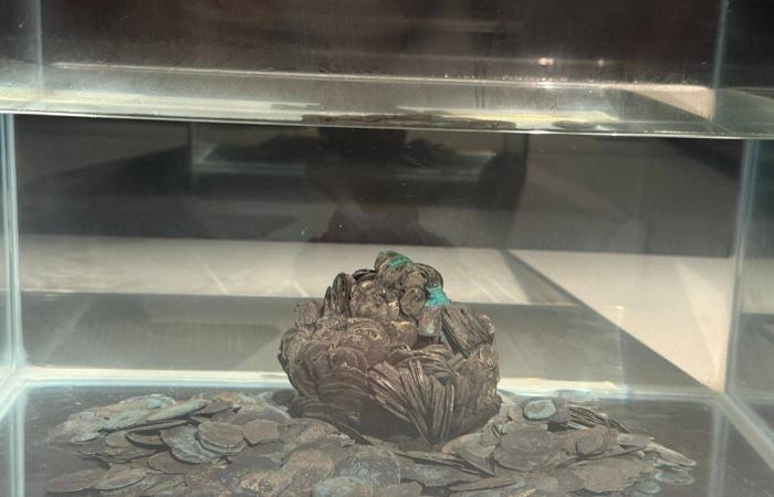 فنانون
      مصريون
      يدعمون
      هاني
      شاكر
      في
      أزمته
      الصحية