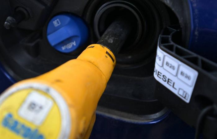 كيف
      انعكس
      ارتفاع
      سعر
      الدولار
      على
      الأسعار
      في
      مصر؟